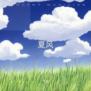 夏天的风