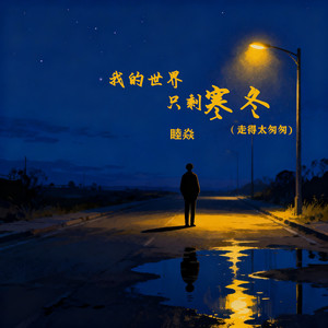 我的世界只剩寒冬 (走得太匆匆)