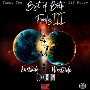 Best Of Both Families, Vol. 3 (Explicit)