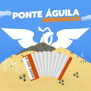 Ponte Águila Hermosillo