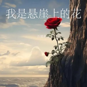 我是悬崖上的花-万能和弦