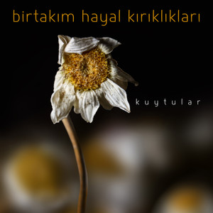 Birtakım Hayal Kırıklıkları