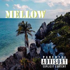 HIGHVIBES (feat. Pana, Picha, Oñate & Chicano) (Explicit)