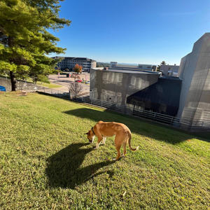 Take it easy ((Plain version))