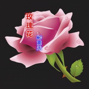 MC震天 - 2017社会摇3