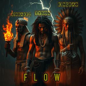 Flow (Explicit)