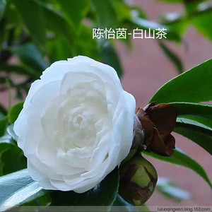 红尘客栈 (伴奏)