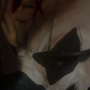 Why Do We Liv3 (Freestyle) (Explicit)