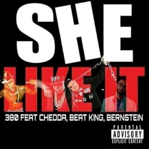 She Like It (feat. Bernstein, Beat King & Chedda) [Explicit]
