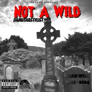 Not A Wild (Explicit)