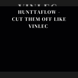 Cut Them off Like Vinlec (Explicit)