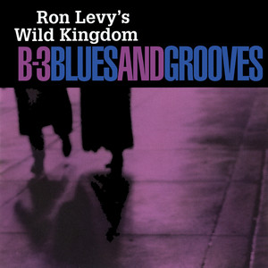 B-3 Blues And Grooves