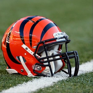 Never Mess with a Tiger