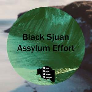 Assylum Effort - EP