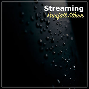 Ambient White Noise with Rain Drops