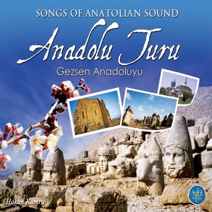 Anadolu Turu Gezsen Anadolu'yu, Vol. 1 (Songs of Anatolian Sound)