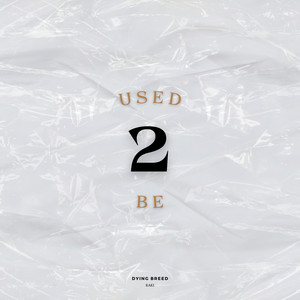 Used 2 Be (Remix)