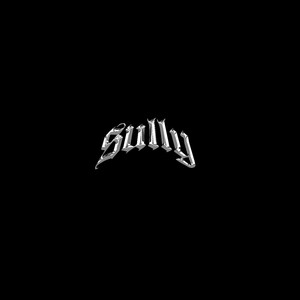 Sully's Revenge (Explicit)