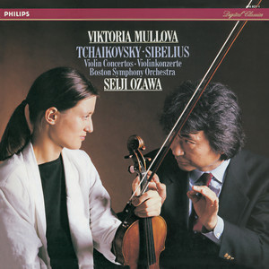 Violin Concerto in D Minor, Op. 47 - 3. Allegro, ma non tanto