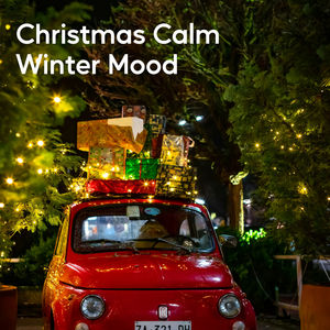 Peaceful Holiday Snowfall