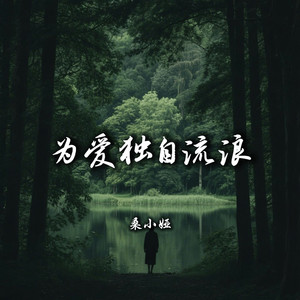 为爱独自流浪