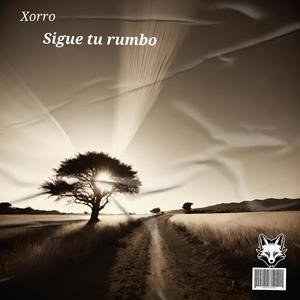 Sigue tu rumbo