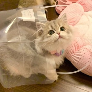 屋顶着火