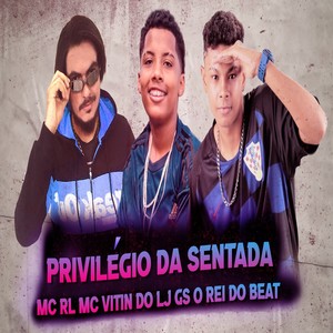 Privilégio da Sentada (Remix Bregafunk)