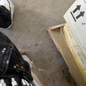 fried as **** (feat. Sedated & Gone4glory) (Explicit)