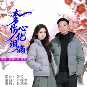 太多伤心化泪滴 (对唱版伴奏)