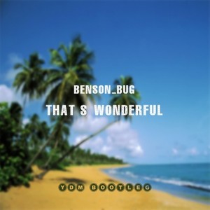 Benson_BUG - That's Wonderful (YDM Remix)