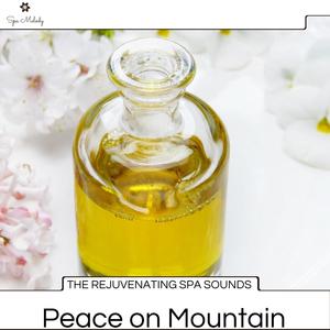 The Rejuvenating Spa Sounds - Peace On Mountain