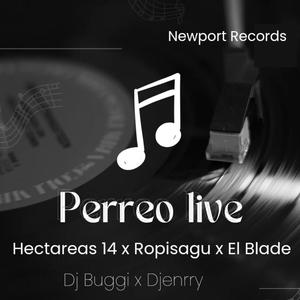 Perreo Live (feat. Hectareas 14 & El Blade Hey Hey) [Live]