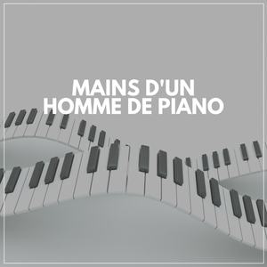 Mains D'un Homme De Piano