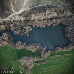 Falling Grass (Foggy Mix)
