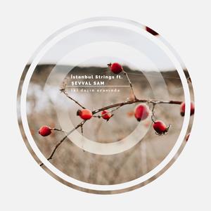 İki Dağ Arasında(feat. Şevval Sam)