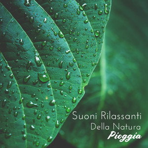 Suoni Rilassanti Della Natura: Pioggia (Relaxing Sounds of Nature)