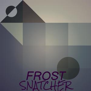 Frost Snatcher