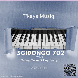 Sgidongo 702