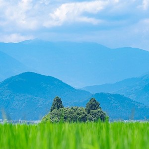 也许有一天 (Demo)