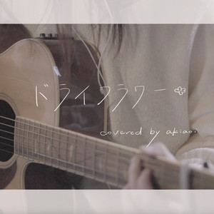 ドライフラワー (吉他弹唱)