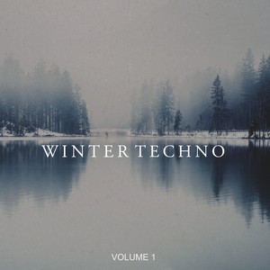 Winter Techno, Vol. 1 (25 Unique Techno Pearls)
