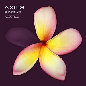 El Destino (Acústico)