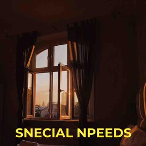 SPECIAL NEEDS (Explicit)