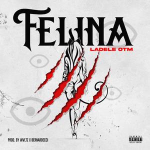 Ladele OTM - Felina LTS