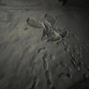 Soulja Gurl (Explicit)