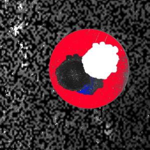 latająca martwa głowa (feat. DEAR THUNDERSTORM) (Live)