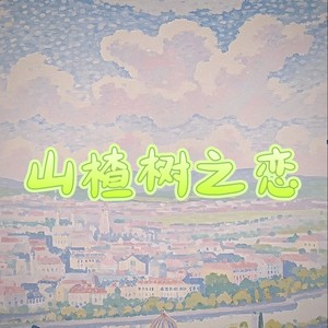 山楂树之恋 (Dj俊海版)