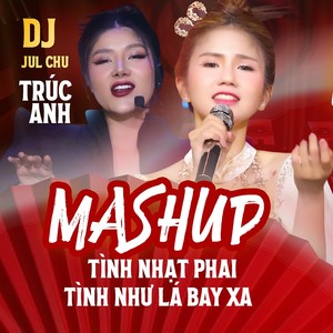 Mashup Tình Nhạt Phai & Tình Như Lá Bay Xa - Remix