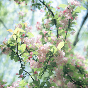 SpringThing (春雨你)-陆野